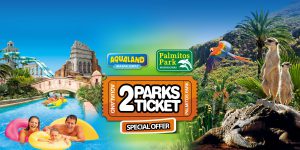 vacanta in gran canaria palmitos park vacanta si distractie