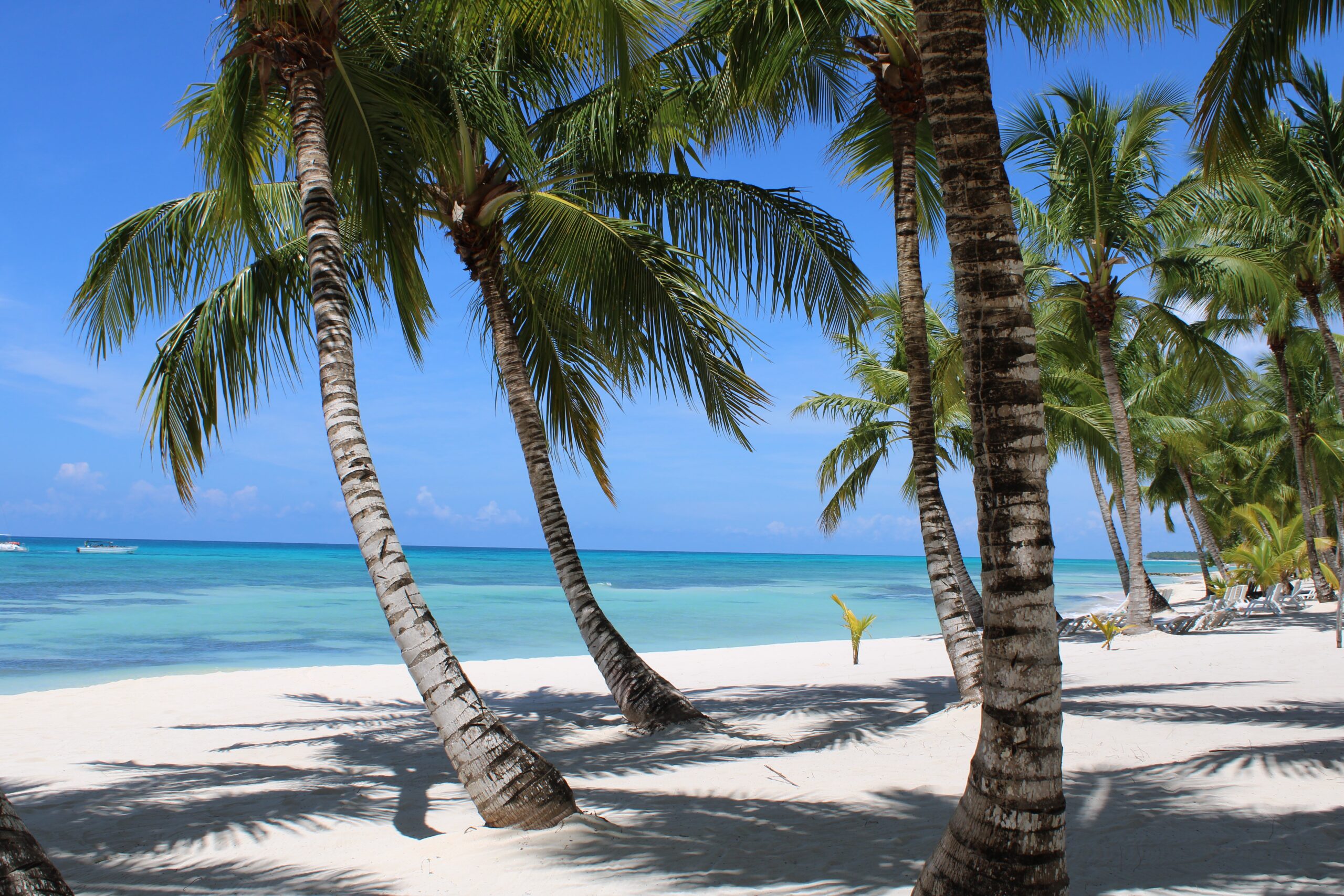 Vacanta Punta Cana Republica Dominicana